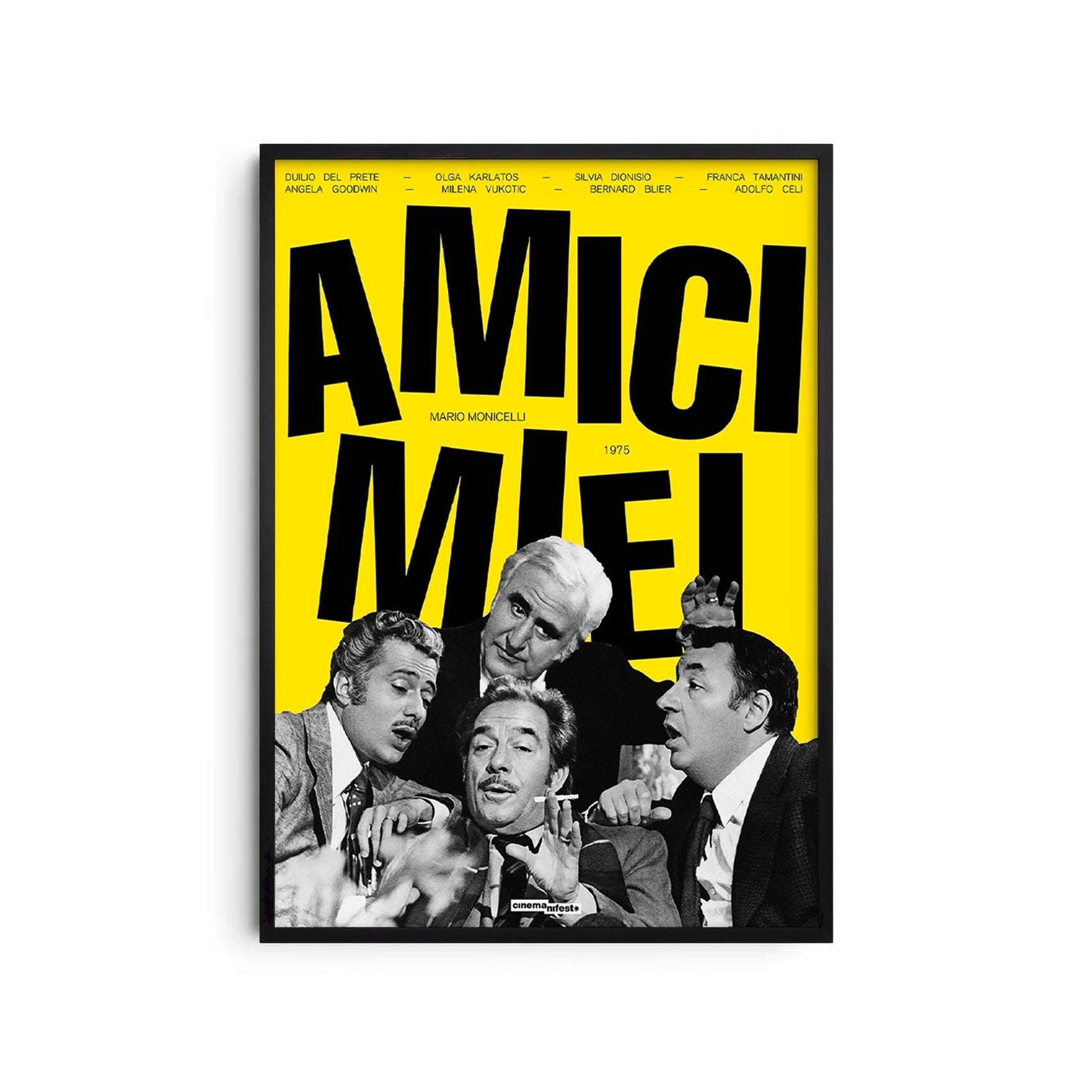 Amici miei
